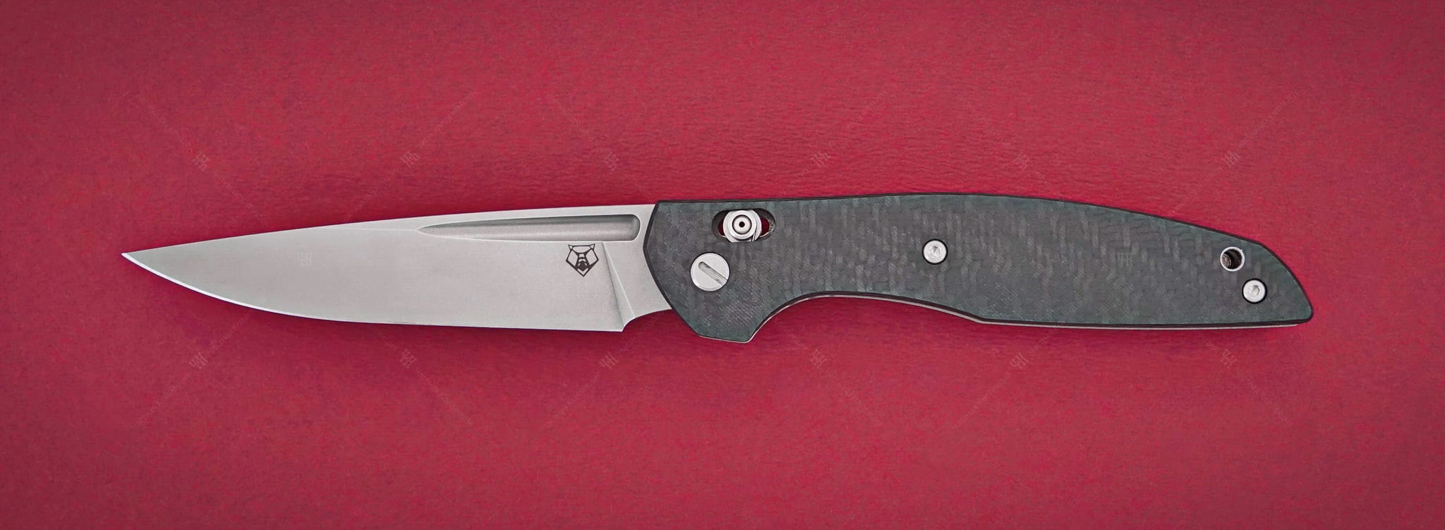 SBW 110