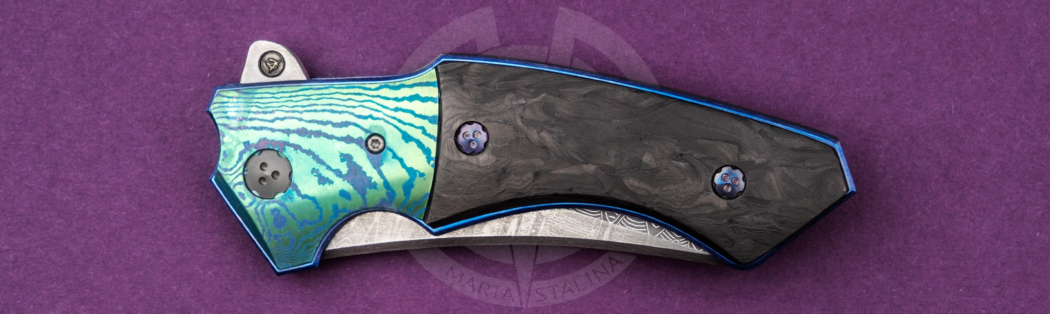 Allen Elishewitz Black Dolphin_4 Allen Elishewitz Black Dolphin_4