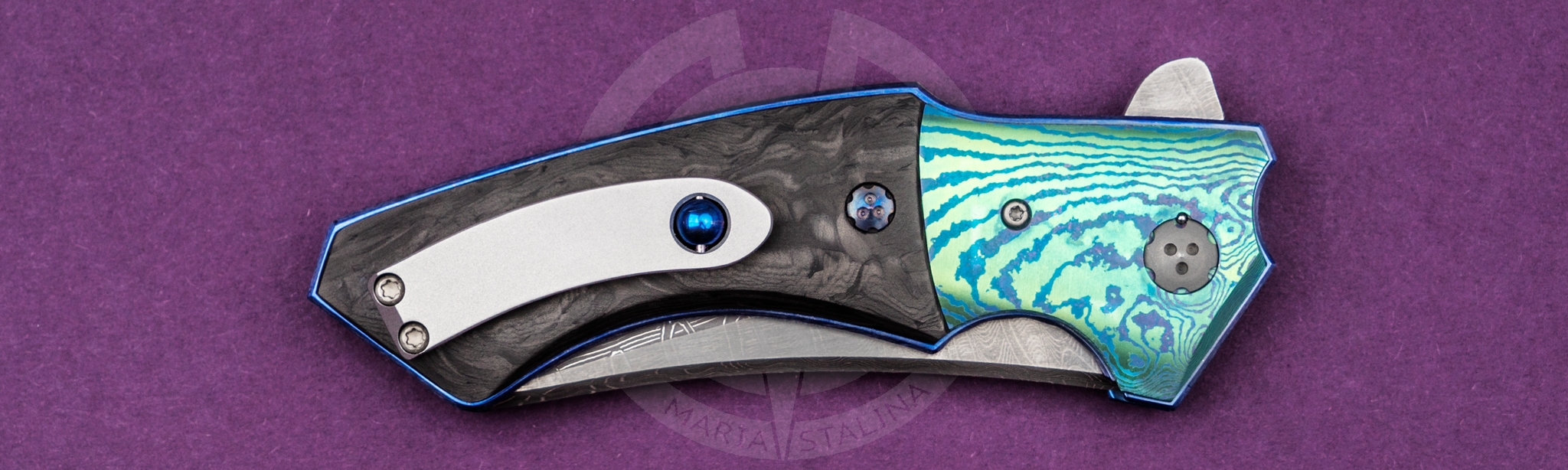 Allen Elishewitz Black Dolphin_5 Allen Elishewitz Black Dolphin_5