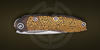 Кастомный фолдер ручной работы с гравировкой Техношаман Слим (Голд) сигнатура 9/10 от Мануфактуры СиЛ