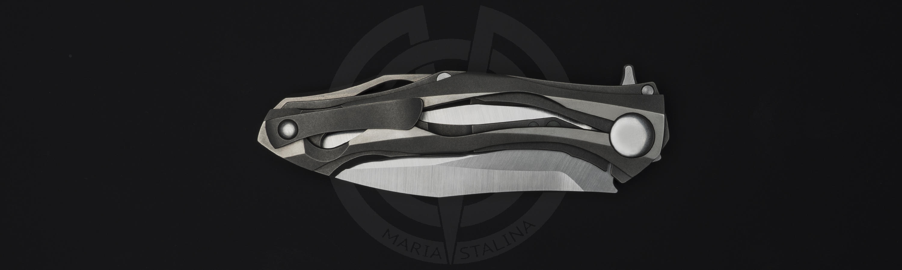Titanium Clip