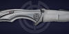 Blade RWL-34 of the knife Down Integral Titanium DLC by Tighe Brian